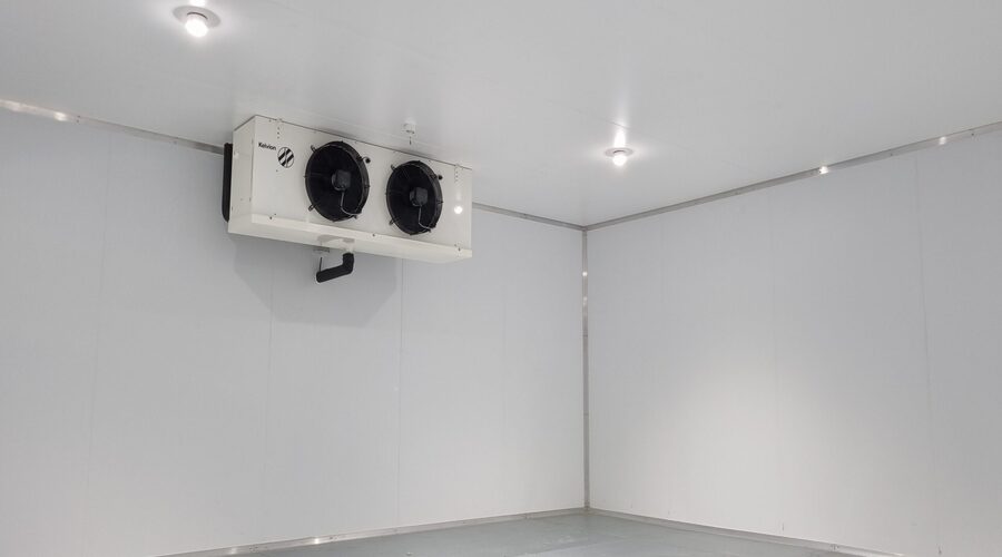 20220601_120158-scaled